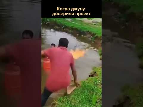 Когда джуну дали проект