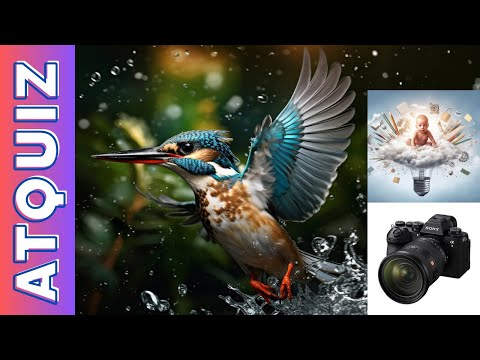 Sony Alpha 9 III для подорожей у часі, найбільша квітка і не тільки: вікторина від ATDIGIT