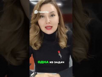 НЕЙРОСЕТИ vs КОМАНДА: КТО ЭФФЕКТИВНЕЕ?