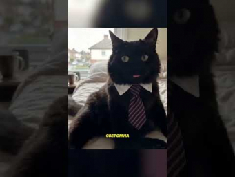 Новости AI и технологии что нового  #chatgpt #нейросети  #нейросетьзахватитмир
