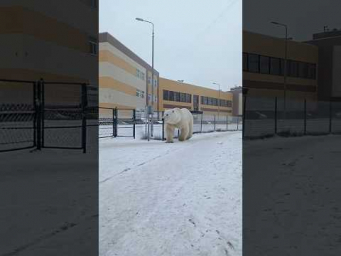 Север