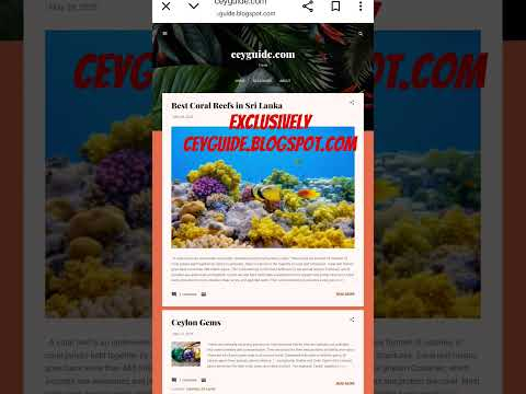 ceyguide.blogspot.com ceyguide.blogspot.com