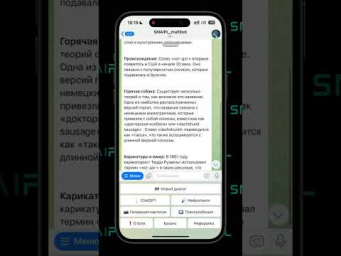Обзор функциональности бота с использованием ChatGPT, Perplexity и транскрибации YouTube