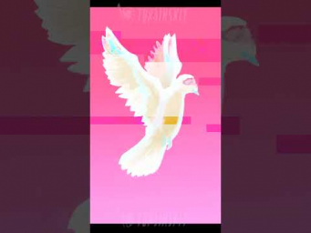 CG painting of Dove, photoshop drawing process  #art #drawingstyles #digitalpaint
