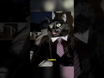 Ai re-light  управление светом на фото после съемки #AI #Фотография #Свет