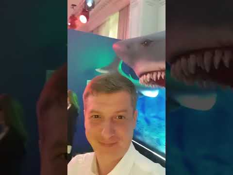 Премия лидеров онлайн обучения ##нейросети#shorts#Getaward#Getaward2023 #Getcourse #Getcourse премия Премия лидеров онлайн обучения ##нейросети#shorts#Getaward#Getaward2023 #Getcourse #Getcourse премия