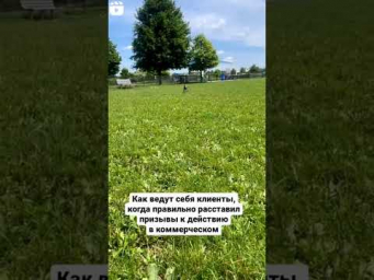 ИДЕАЛЬНОЕ КОММЕРЧЕСКОЕ ПРЕДЛОЖЕНИЕ #маркетинг #презентации #юмор #угар #приколы #хаха #смешно