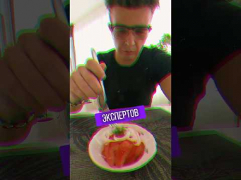 МОЗГ КИПЕЛ. День 5/10